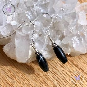 Black Sardonyx Tube Bead Earrings